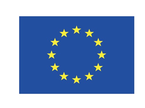 EU Logo
